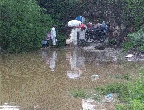 A block drained by dirty water | पारोळा बस स्थानकाजवळ घाण पाण्याने नाला झाला ब्लॉक A block drained by dirty water | पारोळा बस स्थानकाजवळ घाण पाण्याने नाला झाला ब्लॉक