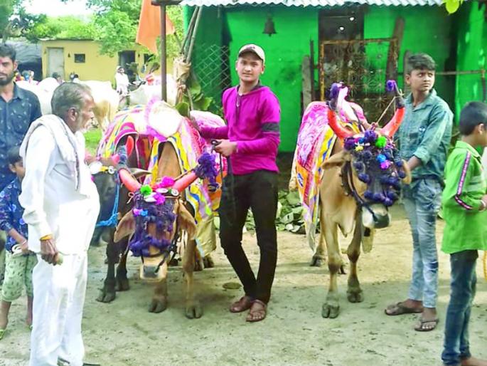 Pola Festival was celebrated in Washim district | वाशिम जिल्ह्यात घरोघरीच साजरा झाला पोळा सण