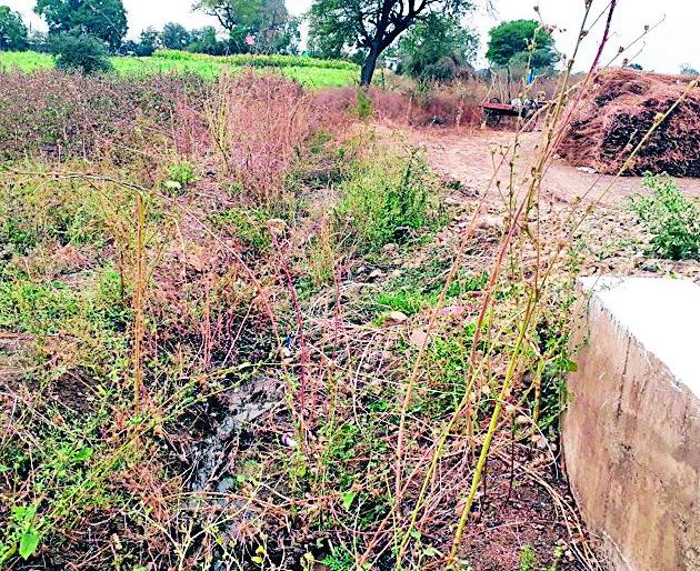 Canal water released in the field | कालव्याचे पाणी सोडले शेतात Canal water released in the field | कालव्याचे पाणी सोडले शेतात
