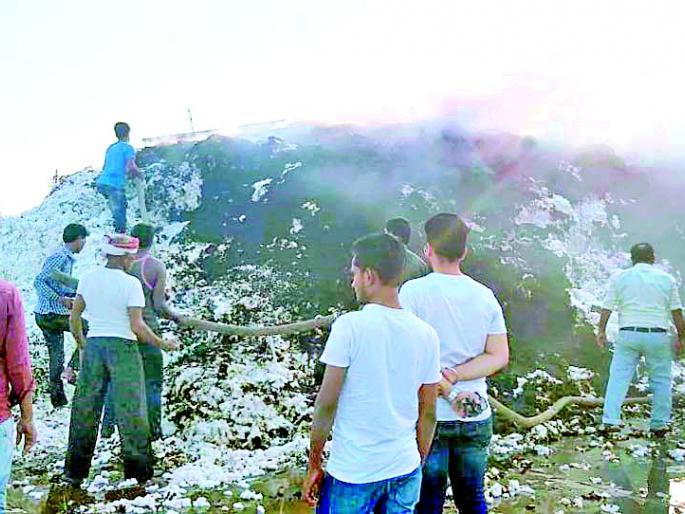 Jingala fire; One and a half quintals of cotton burned | जिनिंगला आग; दीड हजार क्विंटल कापूस जळाला Jingala fire; One and a half quintals of cotton burned | जिनिंगला आग; दीड हजार क्विंटल कापूस जळाला