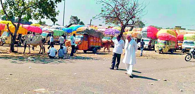 'Class' of cotton traders taken by Speaker | सभापतींनी घेतला कापूस व्यापाऱ्यांचा ‘क्लास’ 'Class' of cotton traders taken by Speaker | सभापतींनी घेतला कापूस व्यापाऱ्यांचा ‘क्लास’