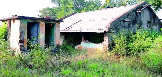 Bad condition of the police colony at Bittergaon | बिटरगाव येथील पोलीस वसाहतीची दुर्दशा Bad condition of the police colony at Bittergaon | बिटरगाव येथील पोलीस वसाहतीची दुर्दशा