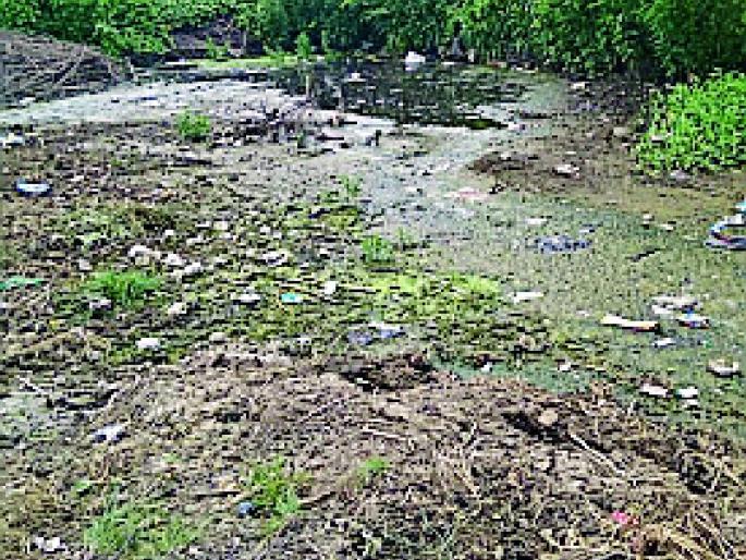 Infection with the disease along with the disease | आमणी येथे साथ रोगाची लागण