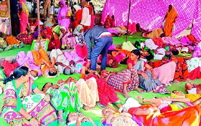 Herb claims to overcome cataracts | जडीबुटीने मोतिबिंदू दूर करण्याचा दावा Herb claims to overcome cataracts | जडीबुटीने मोतिबिंदू दूर करण्याचा दावा