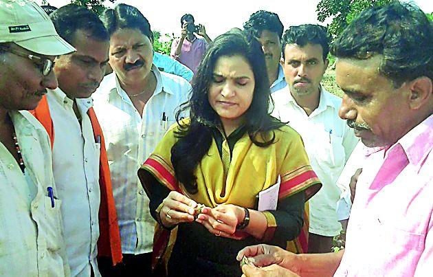 The questions of the farmers that the MPs knew | खासदारांनी जाणले शेतकऱ्यांचे प्रश्न The questions of the farmers that the MPs knew | खासदारांनी जाणले शेतकऱ्यांचे प्रश्न