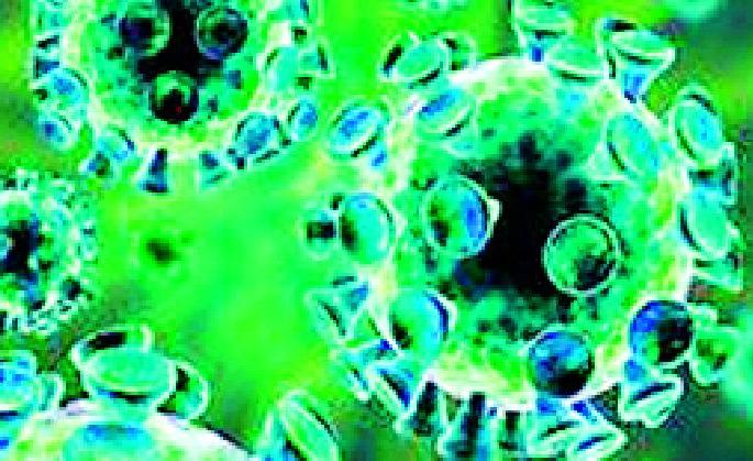 New nine positives | नवे नऊ पॉझिटिव्ह New nine positives | नवे नऊ पॉझिटिव्ह