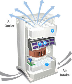  Gas purification equipment to be installed in the city | शहरात आता बसविणार वायू शुद्धीकरण उपकरण