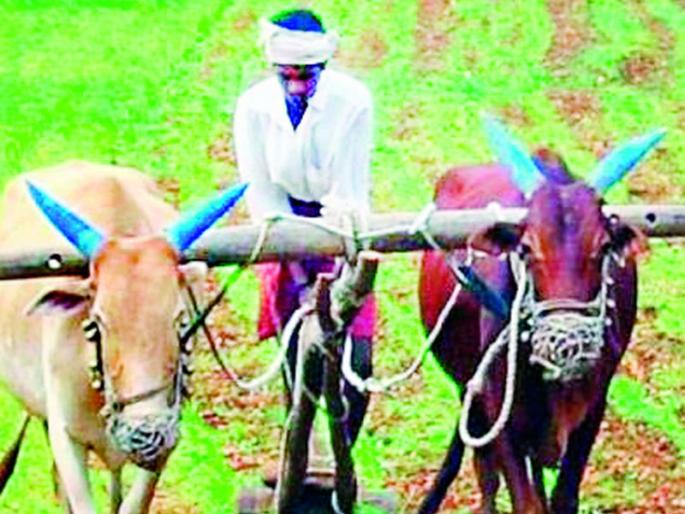 50,000 assistance to 77,000 farmers who make regular repayments | नियमित परतफेड करणाऱ्या ७७ हजार शेतकऱ्यांना ५० हजारांची मदत 50,000 assistance to 77,000 farmers who make regular repayments | नियमित परतफेड करणाऱ्या ७७ हजार शेतकऱ्यांना ५० हजारांची मदत