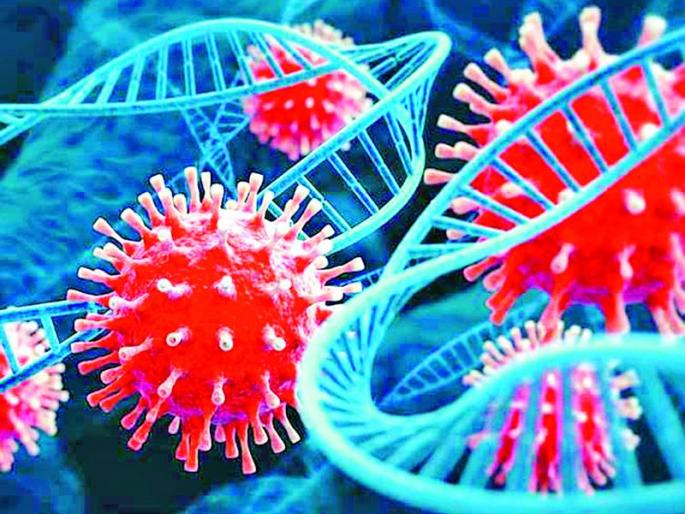 The weak link will be 82,685 people in the district on the back of Omaicron | ओमायक्रॉनच्या पार्श्वभूमीवर जिल्ह्यात 82,685 व्यक्ती ठरतील कमकुवत दुवा The weak link will be 82,685 people in the district on the back of Omaicron | ओमायक्रॉनच्या पार्श्वभूमीवर जिल्ह्यात 82,685 व्यक्ती ठरतील कमकुवत दुवा