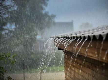 Low rainfall in four districts of Vidarbha; 18 percent plus rain in the maharashtra | महाराष्ट्रात सरासरीपेक्षा १८ टक्के अधिक पाऊस; विदर्भातील चार जिल्ह्यात दमदार पावसाची प्रतीक्षा Low rainfall in four districts of Vidarbha; 18 percent plus rain in the maharashtra | महाराष्ट्रात सरासरीपेक्षा १८ टक्के अधिक पाऊस; विदर्भातील चार जिल्ह्यात दमदार पावसाची प्रतीक्षा