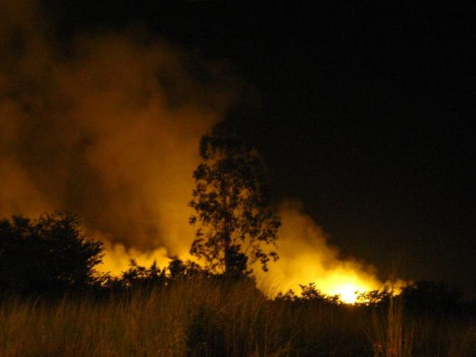 NASA will immediately provide forest fire alerts | ‘नासा’ तात्काळ देणार जंगलातील आगीचा अलर्ट NASA will immediately provide forest fire alerts | ‘नासा’ तात्काळ देणार जंगलातील आगीचा अलर्ट