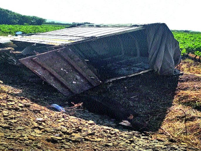 The cow's traffic converging the tempo | गायींची चोरटी वाहतूक करणारा टेम्पो उलटला The cow's traffic converging the tempo | गायींची चोरटी वाहतूक करणारा टेम्पो उलटला