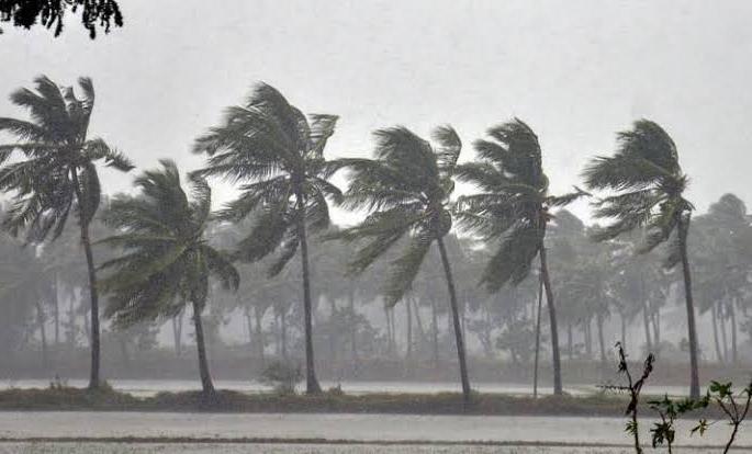 GoodNews! There will be good rains in South Asia this year; Guess of the South Asian Weather Outlook Forum | सुखद वार्ता! यंदा चांगला पाऊस पडणार; दक्षिण आशियाई हवामान आऊटलुक फोरमचा अंदाज GoodNews! There will be good rains in South Asia this year; Guess of the South Asian Weather Outlook Forum | सुखद वार्ता! यंदा चांगला पाऊस पडणार; दक्षिण आशियाई हवामान आऊटलुक फोरमचा अंदाज