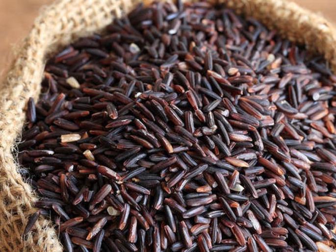 Black rice that can overcome cancer growing in Vidarbha's paddy fields | विदर्भाच्या धानपट्ट्यात पिकतोय कॅन्सरवर मात करू शकणारा काळा तांदूळ Black rice that can overcome cancer growing in Vidarbha's paddy fields | विदर्भाच्या धानपट्ट्यात पिकतोय कॅन्सरवर मात करू शकणारा काळा तांदूळ