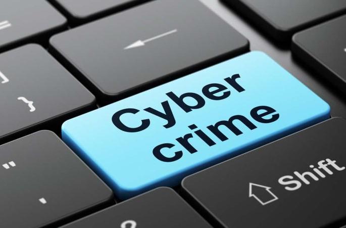 The robbers of online money are arrested in Nagpur | ऑनलाईन रक्कम लंपास करणाऱ्या ठगबाजाचा छडा