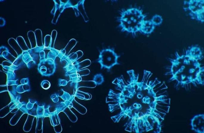 The corona crisis on the Amravati division is darker than in Nagpur | नागपूरच्या तुलनेत अमरावती विभागावर कोरोनाचे संकट गडद The corona crisis on the Amravati division is darker than in Nagpur | नागपूरच्या तुलनेत अमरावती विभागावर कोरोनाचे संकट गडद