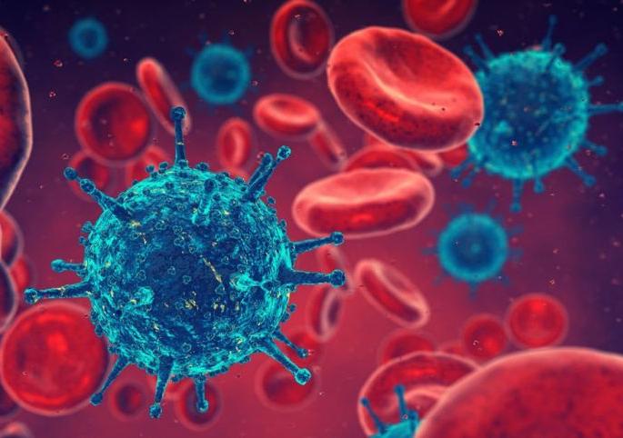 Take direct action against those who do not follow Corona's rules; Instructions to all Collectors | कोरोनाचे नियम न पाळणाऱ्यांवर थेट कारवाई करा; सर्व जिल्हाधिकाऱ्यांना निर्देश Take direct action against those who do not follow Corona's rules; Instructions to all Collectors | कोरोनाचे नियम न पाळणाऱ्यांवर थेट कारवाई करा; सर्व जिल्हाधिकाऱ्यांना निर्देश