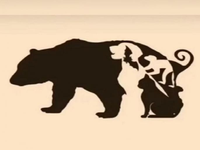 Can you count the number of animals in this photo of optical illusion | Optical Illusion: फोटोत किती आहेत प्राणी, शोधून शोधून थकले लोक; तुम्हीही ट्राय करा! Can you count the number of animals in this photo of optical illusion | Optical Illusion: फोटोत किती आहेत प्राणी, शोधून शोधून थकले लोक; तुम्हीही ट्राय करा!