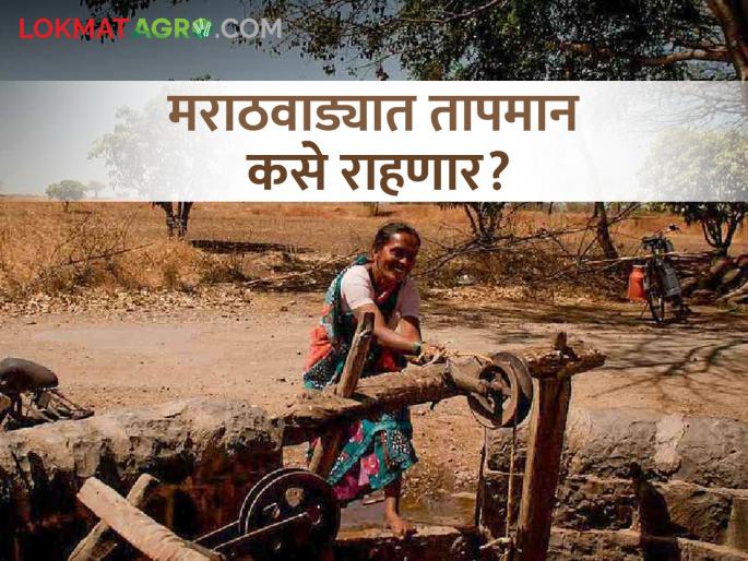 Marathwada is starting to feel hot, how will the temperature be for the next seven days? | मराठवाड्यात उन्हाच्या झळा बसण्यास सुरुवात, कसे राहणार पुढील सात दिवस तापमान? Marathwada is starting to feel hot, how will the temperature be for the next seven days? | मराठवाड्यात उन्हाच्या झळा बसण्यास सुरुवात, कसे राहणार पुढील सात दिवस तापमान?