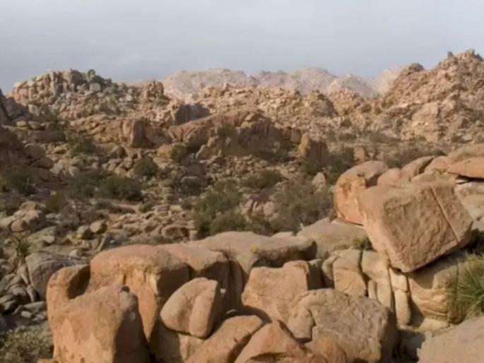 Optical Illusion : Can you find goat in this optical illusion photo | तुमचे डोळे तीक्ष्ण आहे असं वाटत असेल तर शोधून दाखवा यातील बकरी, 10 सेकंदाचा आहे वेळ! Optical Illusion : Can you find goat in this optical illusion photo | तुमचे डोळे तीक्ष्ण आहे असं वाटत असेल तर शोधून दाखवा यातील बकरी, 10 सेकंदाचा आहे वेळ!