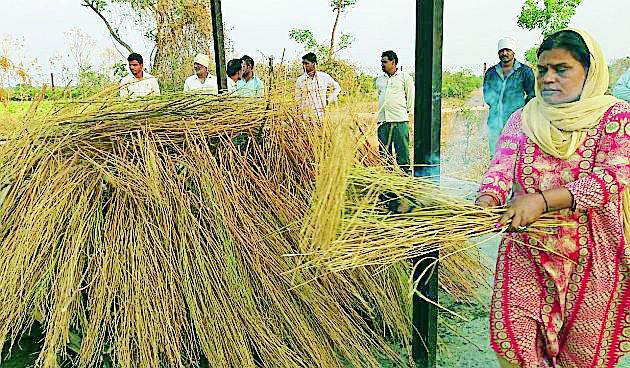 Girl gives shoulder shoulder | मुलीने दिला पित्याला खांदा