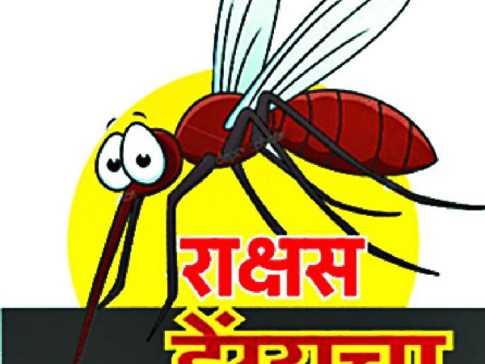 513 suspected dengue in 17 days | १७ दिवसांत ५१३ डेंग्यू संशयित
