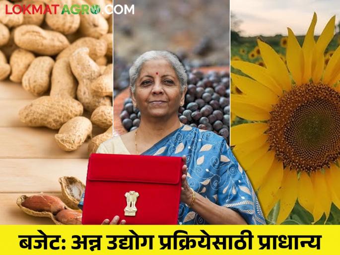 Budget 2024: These announcements to avoid post-planting losses of farmers | Budget 2024: शेतकऱ्यांचे लागवडीनंतरचे नुकसान टाळण्यासाठी 'या' घोषणा Budget 2024: These announcements to avoid post-planting losses of farmers | Budget 2024: शेतकऱ्यांचे लागवडीनंतरचे नुकसान टाळण्यासाठी 'या' घोषणा