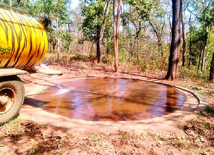 Wildlife count in the light moon light of Buddha Purnima | बुद्ध पौर्णिमेच्या लख्ख चंद्र प्रकाशात वन्यप्राणी गणना Wildlife count in the light moon light of Buddha Purnima | बुद्ध पौर्णिमेच्या लख्ख चंद्र प्रकाशात वन्यप्राणी गणना