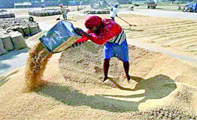Farmers' paddy at the traders' door | शेतकऱ्यांचा धान व्यापाऱ्यांच्या दारात
