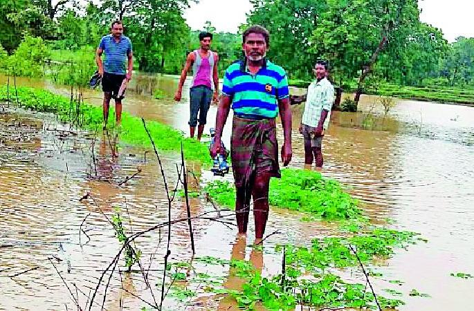 The time of starvation on the farmers | शेतकऱ्यांवर उपासमारीची वेळ The time of starvation on the farmers | शेतकऱ्यांवर उपासमारीची वेळ