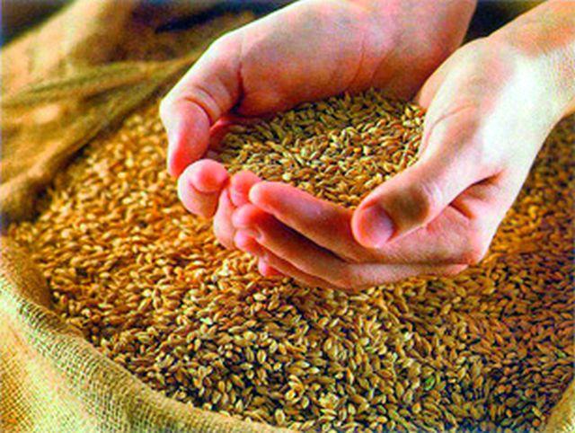 Benefits of Food Security Scheme to 10.05 lakh beneficiaries | १०.०५ लाख लाभार्थ्यांना अन्न सुरक्षा योजनेचा लाभ Benefits of Food Security Scheme to 10.05 lakh beneficiaries | १०.०५ लाख लाभार्थ्यांना अन्न सुरक्षा योजनेचा लाभ