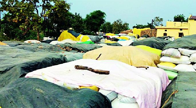 Waiting for paddy count for two months | दोन महिन्यांपासून धान मोजणीच्या प्रतीक्षेत Waiting for paddy count for two months | दोन महिन्यांपासून धान मोजणीच्या प्रतीक्षेत