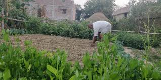Shortage of agricultural labor in Godakath area | गोदाकाठ परिसरात शेतमजुरांचा तुटवडा Shortage of agricultural labor in Godakath area | गोदाकाठ परिसरात शेतमजुरांचा तुटवडा