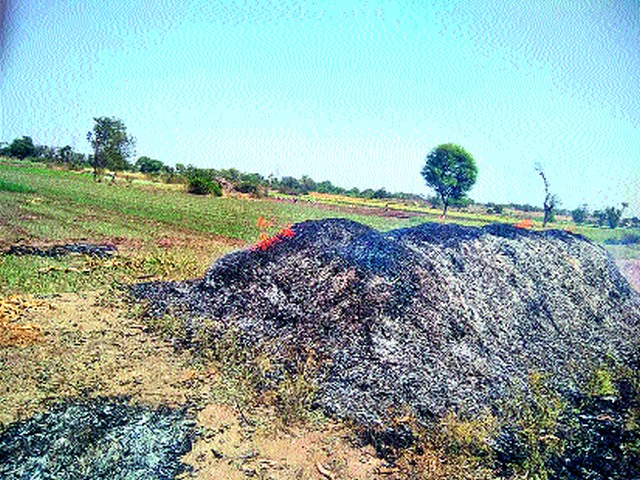 Burn fodder | चारा जळून खाक Burn fodder | चारा जळून खाक