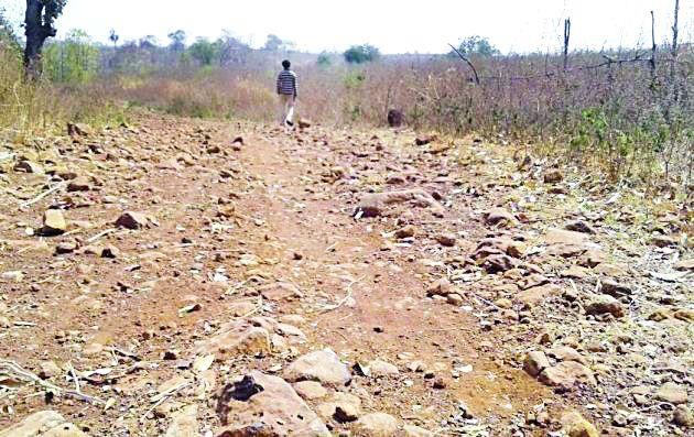 Do not tell us freedom ..! | स्वातंत्र्याचे आम्हा सांगू नका काही..! Do not tell us freedom ..! | स्वातंत्र्याचे आम्हा सांगू नका काही..!
