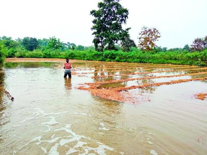 4,619 farmers waiting for crop insurance | ४,६१९ शेतकऱ्यांना पीक विम्याची प्रतीक्षा 4,619 farmers waiting for crop insurance | ४,६१९ शेतकऱ्यांना पीक विम्याची प्रतीक्षा
