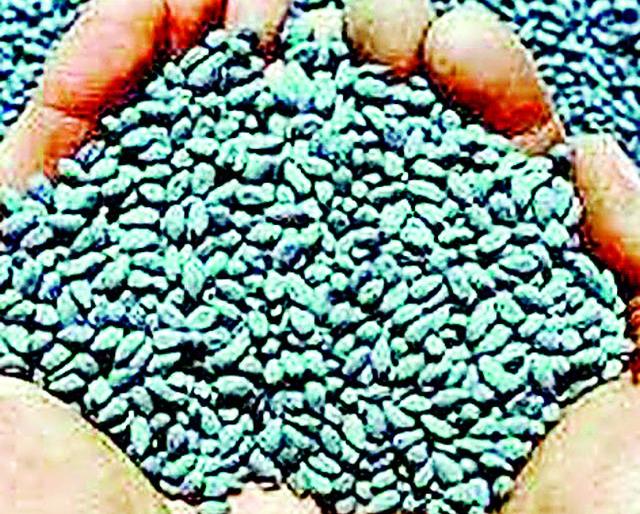 Cottonseed seeds are not listed on the list | यादीत नसलेल्या कापूस बियाणांचाही जिल्ह्यात सुळसुळाट