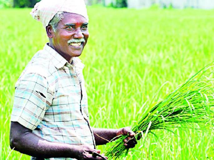 Now the Prime Minister's Kisan Honor Yojana for farmers | शेतकऱ्यांसाठी आता प्रधानमंत्री किसान मानधन योजना Now the Prime Minister's Kisan Honor Yojana for farmers | शेतकऱ्यांसाठी आता प्रधानमंत्री किसान मानधन योजना