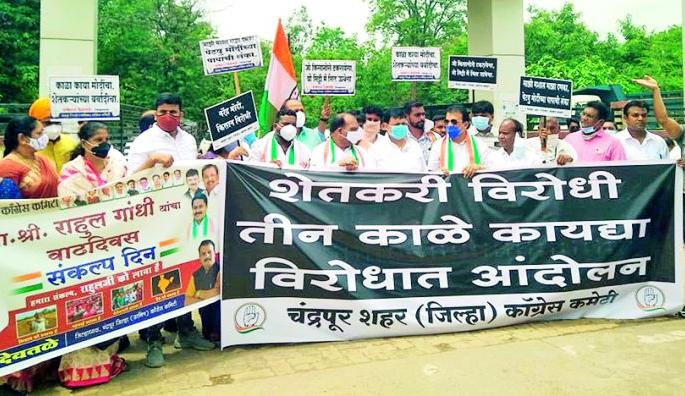 Holi of anti-farmer law from Congress | काँँग्रेसकडून शेतकरी विरोधी कायद्याची होळी Holi of anti-farmer law from Congress | काँँग्रेसकडून शेतकरी विरोधी कायद्याची होळी