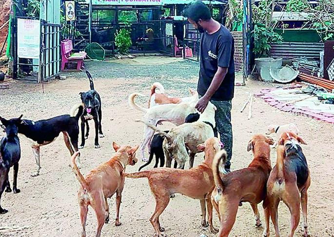 ‘Those’ sick animals now need social support | ‘त्या’ आजारी जनावरांना हवा आता सामाजिक आधार ‘Those’ sick animals now need social support | ‘त्या’ आजारी जनावरांना हवा आता सामाजिक आधार