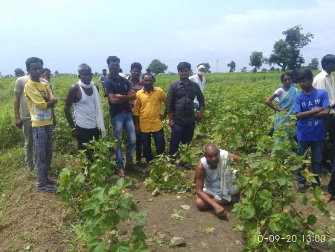 Two minors were killed when they were struck by electric wires in a field | शेतातील विद्युत तारांचा स्पर्श होऊन दोन अल्पवयीन मुले ठार Two minors were killed when they were struck by electric wires in a field | शेतातील विद्युत तारांचा स्पर्श होऊन दोन अल्पवयीन मुले ठार