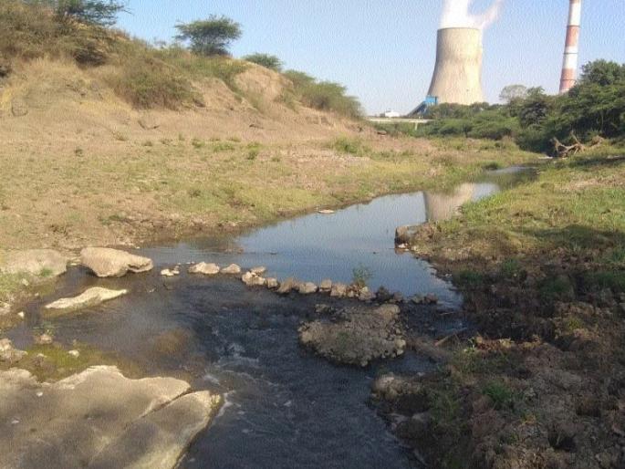 Chemical containing water is being released | भोगावतीत सोडले जातेय केमिकल युक्त पाणी Chemical containing water is being released | भोगावतीत सोडले जातेय केमिकल युक्त पाणी