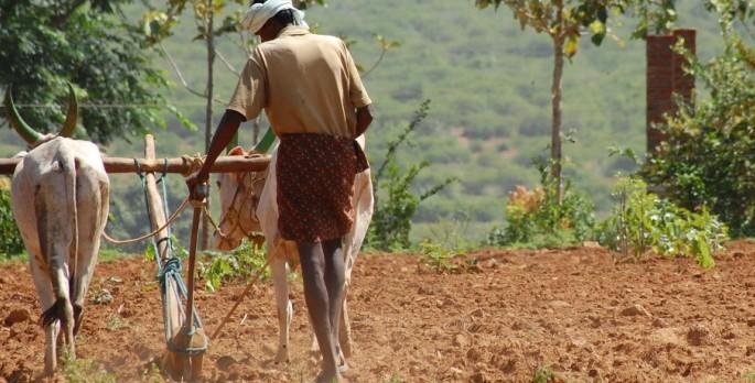 Demand for declaring drought in the Gram Sabha of Barmhangaon | ब्राम्हणगावच्या ग्रामसभेत दुष्काळ जाहीर करण्याची मागणी Demand for declaring drought in the Gram Sabha of Barmhangaon | ब्राम्हणगावच्या ग्रामसभेत दुष्काळ जाहीर करण्याची मागणी