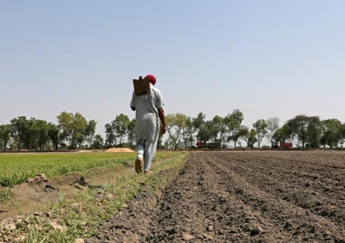 A farmer can not come for the mule | गाळपेऱ्यासाठी शेतकरी पुढे येईनात A farmer can not come for the mule | गाळपेऱ्यासाठी शेतकरी पुढे येईनात