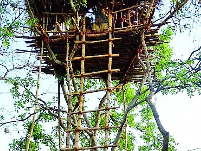 View of tiger, deer and leopard | वाघ, हरीण व बिबट्याचे दर्शन View of tiger, deer and leopard | वाघ, हरीण व बिबट्याचे दर्शन