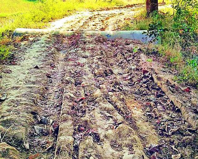 Clogging roads | पांदण रस्त्यांची दुरवस्था