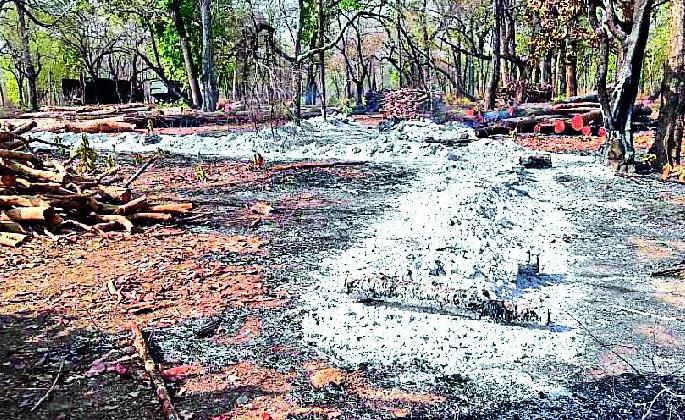 Panic of violent incidents of naxalites | नक्षल्यांच्या हिंसक घटनांनी दहशत