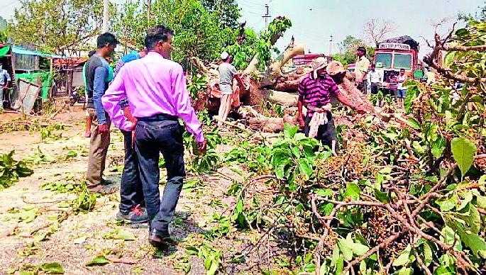Storm of the South | दक्षिण भागाला वादळाचा तडाखा