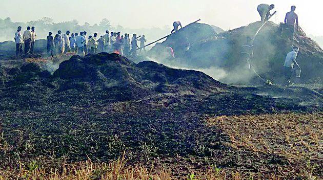 Chikhli and corrugated chunks of coral fire | चिखली व कोरेगावातील धानाच्या पुंजण्यांना आग