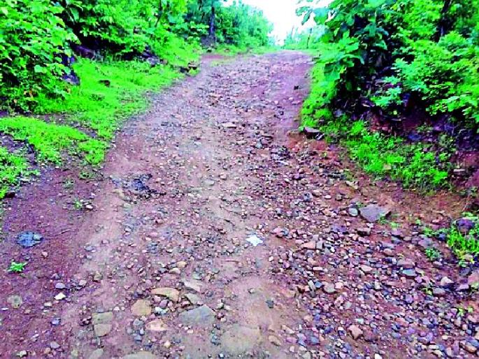 Lessons of contract workers in road work | रस्त्याच्या कामांकडे कंत्राटदारांची पाठ Lessons of contract workers in road work | रस्त्याच्या कामांकडे कंत्राटदारांची पाठ